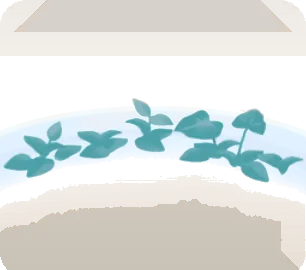 温室の水辺・緑の画像