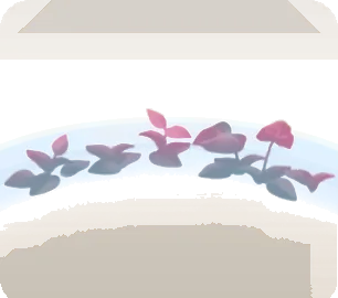 温室の水辺・赤の画像
