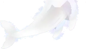 空飛ぶクジラの幻の画像