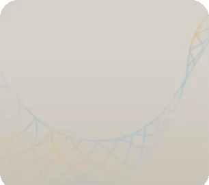 透明感のある補獲ネットの画像