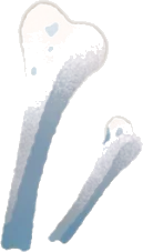 骨のようなものの画像