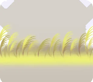 月明りに照らされたススキの画像