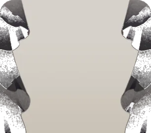 漆黒のカーテンの画像