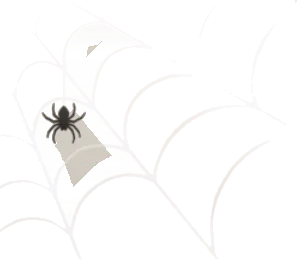 クモの巣の壁飾りの画像