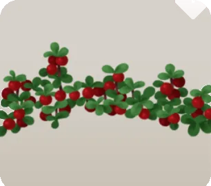 群生しているコケモモの画像