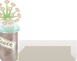 ハナタバモウセンの画像