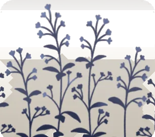 扉の周りに生えた青い植物の画像