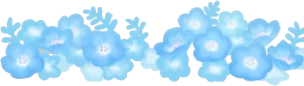 遠くに咲くネモフィラの画像