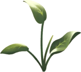 光を浴びる水草の画像