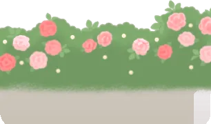 パールのあるバラの茂み・奥の画像