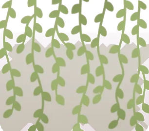 生い茂る日除けのつる植物の画像