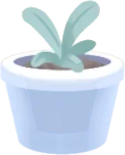 小さな鉢植えの画像