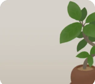 存在感のある観葉植物の画像