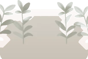 色褪せた草・白の画像