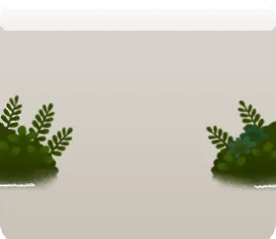 精霊の森の下草の画像