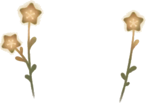 静かに佇む星ランプの草の画像