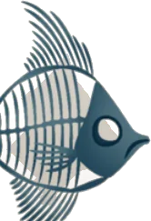 大きな魚の骨の画像