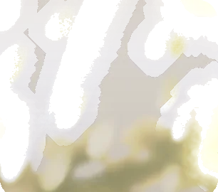 春の木漏れ日フィルターの画像