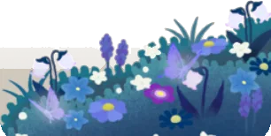神秘の森の茂み・夜の画像