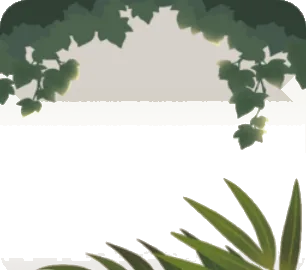 店内の観葉植物の画像