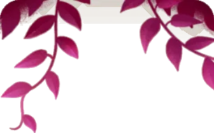 天井からさがる植物の画像