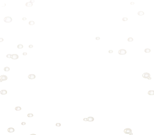 晴れ間の雨粒の画像