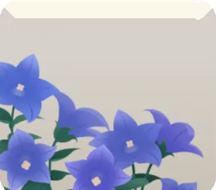 桔梗の花の画像