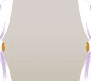 窓辺のカーテン・白の画像