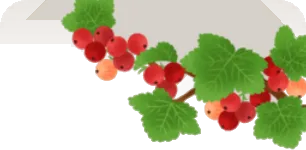 赤い果実の前景の画像