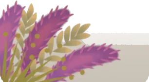 乾燥させた植物の画像