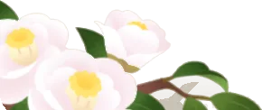 白い椿の枝の画像