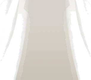 シースルーカーテンの画像