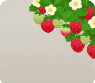 垂れ下がるイチゴの茂みの画像