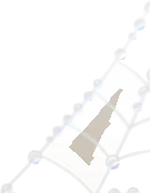 水滴がついた蜘蛛の巣の画像