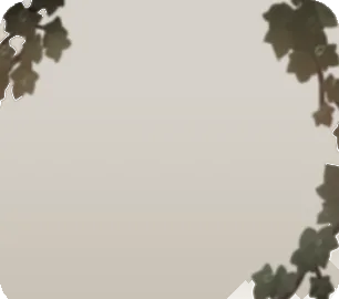 垂れ下がったツタの画像