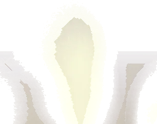 充満した蒸気の画像