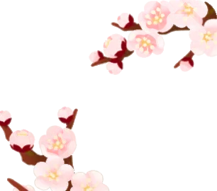 梅の枝・白の画像