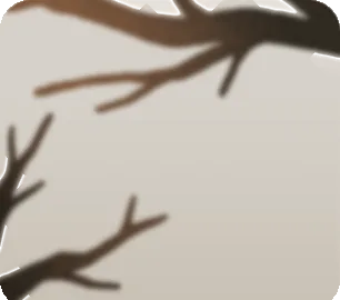 庭に広がる枝の画像