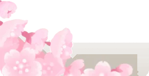 満開の枝垂桜の枝の画像