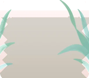 心安らぐ観葉植物の画像