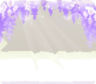 満開の藤の花の画像