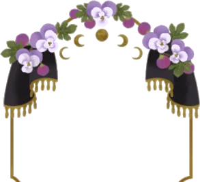 月と無花果とカーテンのフレームの画像