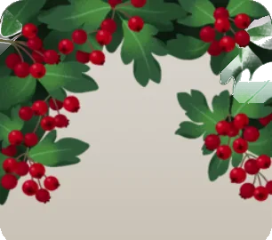 セイヨウサンザシの茂みの画像