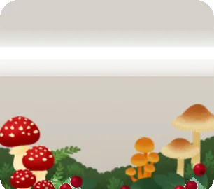 森のキノコの前景の画像