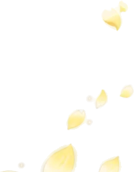 舞い上がる金桜の花びらの画像