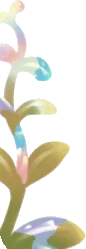 変化しながら育つ植物の画像