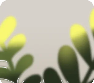 手前にある水草の画像