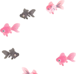 揺蕩う金魚の幻影・手前の画像