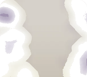 淡く漂う霧の画像