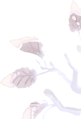 雪の積もる枯れ木の画像